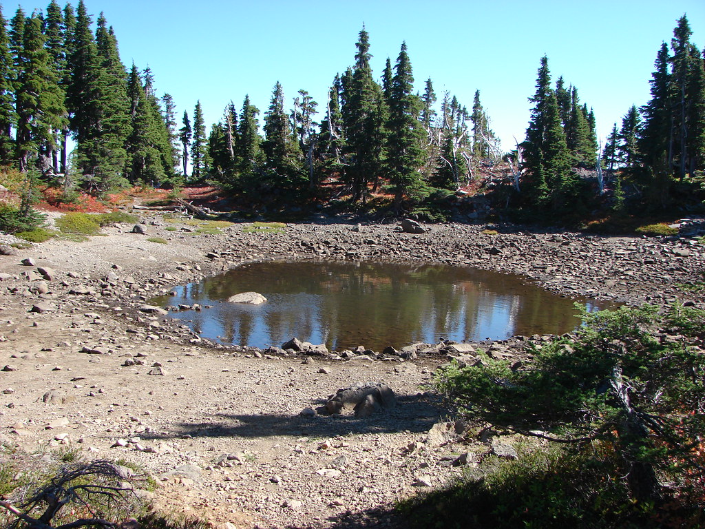 Pond along the Pacific Crest Trail