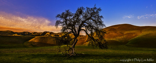 california landscape sunsets d600 explored panochevalley californiaoaktrees