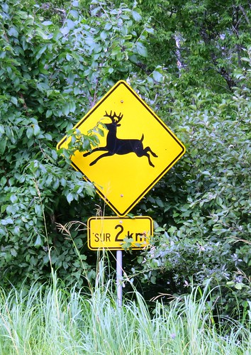 macaza quebec deer crossing sign