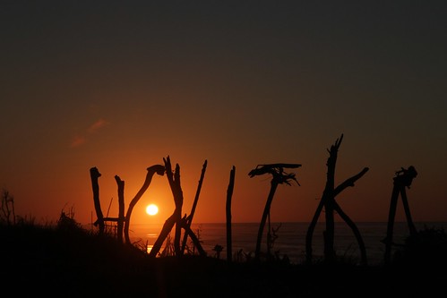 sunset sea sculpture competition driftwood tasman hokitika 2013 sooc silhouettephotography