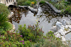 599-20100314-Malta-Il Bidnija Village-Ras Rihana House-garden pond