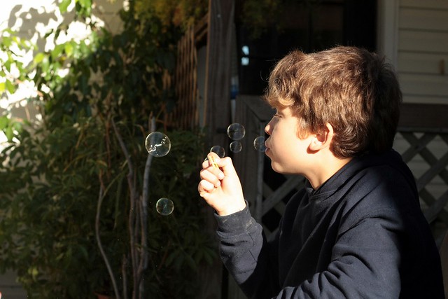alex bubbles