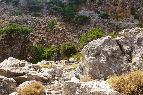 rock europe hiking canyon crete rouvas rouvascanyon rouwas
