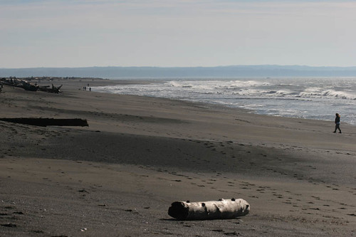 Damon Point