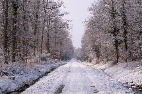 hiver route chambord été chemin forestière forestier