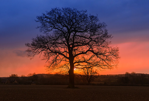 uk sunrise landscape dawn nikon oaktree warwickshire alcester d7000 jactoll nikcolorefexpro4