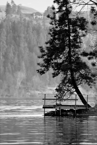 trees bw white mountain lake canada black mountains reflection tree water pine forest docks reflections landscape grey reflecting mono pier dock bc okanagan piers hill gray lakes scenic hills pines valley lakecountry