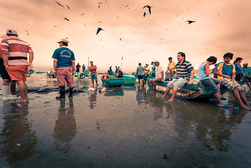 fishmarket morning ecuador beach sunrise travel eos6d fish puertolopez southamerica fishermen birds boats puertolópez manabí ec