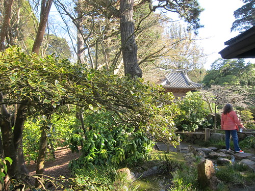 Golden Gate Park Japanese Tea Garden, San F… IMG_3233