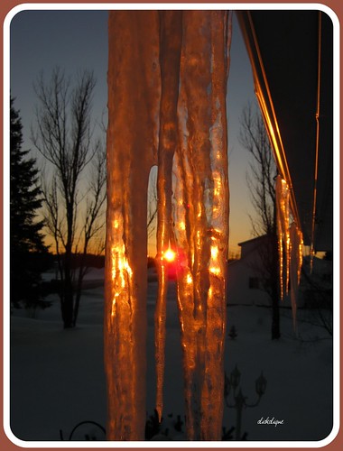 winter sunset sun color colour ice icicle