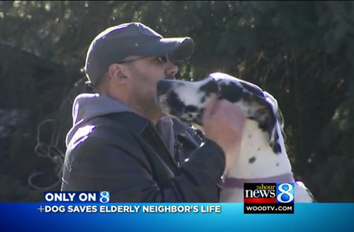 Hero Dog Saves Elderly Neighbor After a Bad Fall - Orvis News