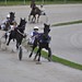 Kasaške dirke v Komendi 18.09.2016 Tretja dirka
