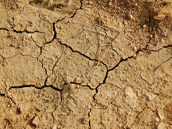 Estudos indicam que superfícies terrestres em condições de seca passaram de 30% nos anos 2000 - Créditos: Reprodução