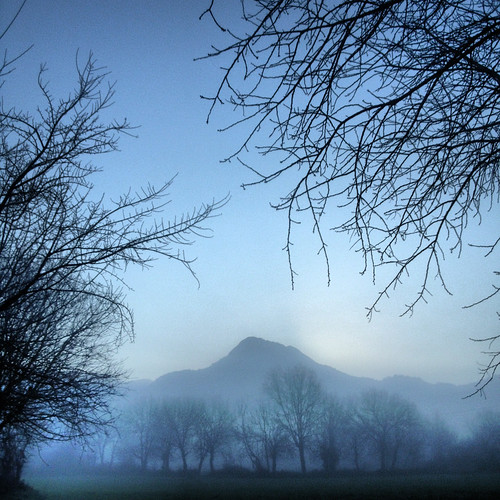 blue trees winter mountain sunrise dawn branches foggy babadag