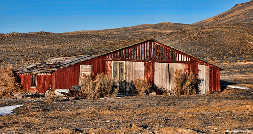 nevada ghosttown contact