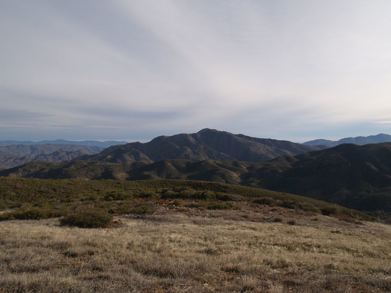 Looking east toward Granite Mountain from the Mason Valley Truck Trail