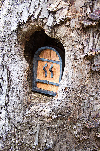 door wood tree photography photo blog photographer durham fantasy bark show1 knothole terrastudios northwestarkansas frameit sumpicscom