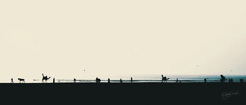 people horse beach silhouette ride seagull camel seaview hawkers hx200v uzairqadri uz360arts