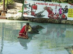 Crocodile Show Krokodil Thailand Bung Chawak Suphanburi Province