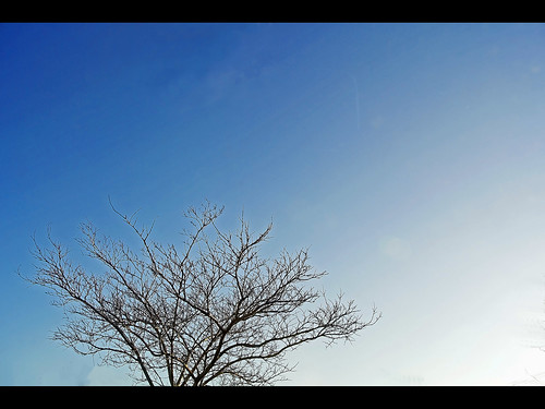 sky tree nature skyscape photography 1 nikon branches daily 365 nikkor j1 day155 2013 155365 1030mm nikonj1 03142013