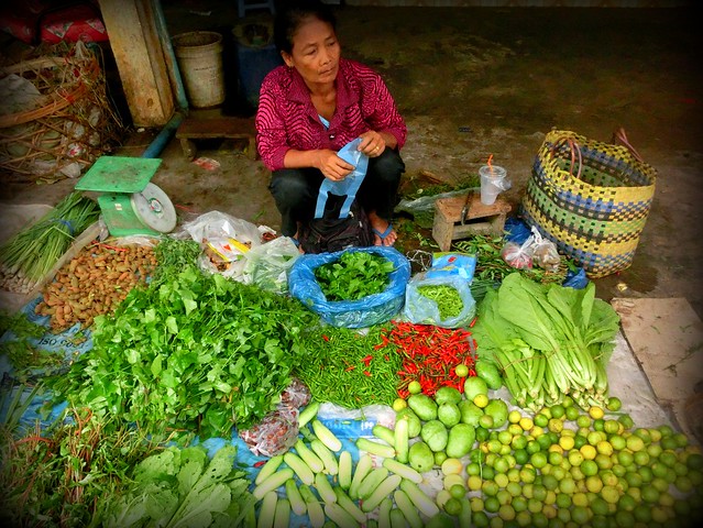 Buy fresh ingredients for our cooking class in Battambang, Cambodia 