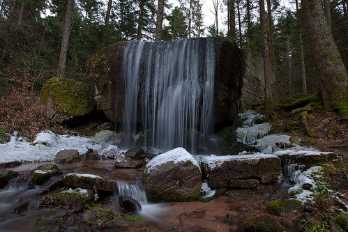 longexposure nature forest canon wideangle 5d 1740mm forêt vosges ndfilter