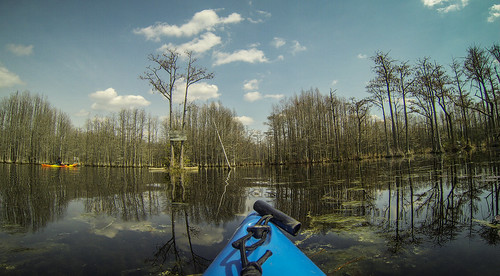 sc geocaching unitedstates camden southcarolina usga kayaking paddling goodalestatepark