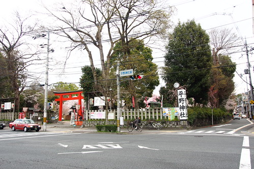 平野神社 櫻花