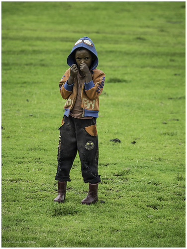 boy curious ethiopia meadow northshewa oromia