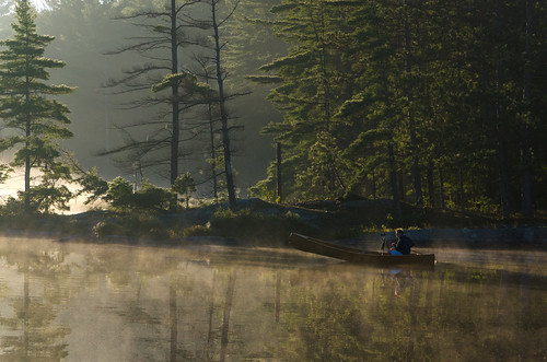 dermot dermoto photographer canoe canoer fog foggy morning copperlake kawarthahighlands kawarthahighlandssignaturepark ontario canada
