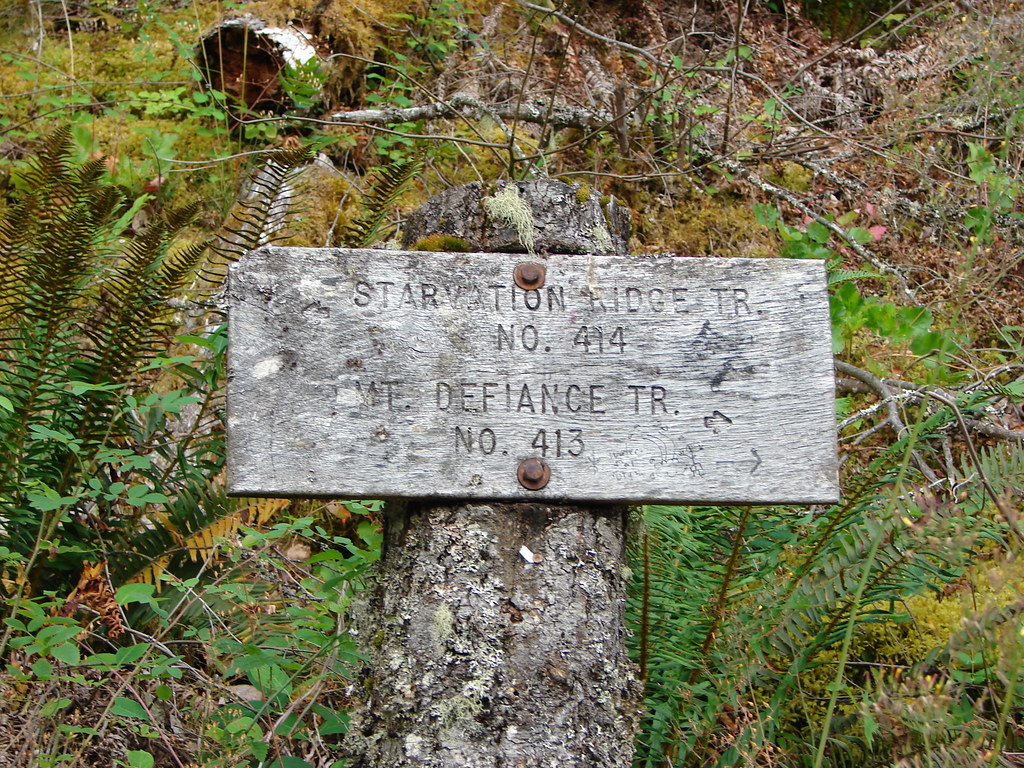 Junction with the Starvation Ridge Trail
