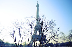 Paris. La Tour Eiffel | 72