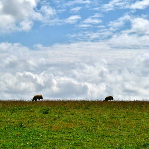 france square landscape sheep natuur wolken frankrijk nuages nordpasdecalais aaa fra cloudscapes landschap wolk schaap pasdecalais vierkant audinghen thegalaxy lesdeuxcapes canons5 wolkformatie wolkformaties