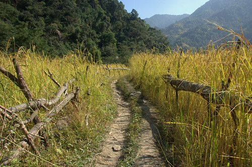 nepal mountains trekking asia asien outdoor hiking berge himalaya wandern himalayas