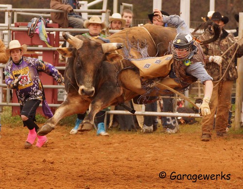 boy male oklahoma sport all child sony bull riding rodeo 70300mm tamron bullriding f456 views200 slta65v juniorbullridersassociation