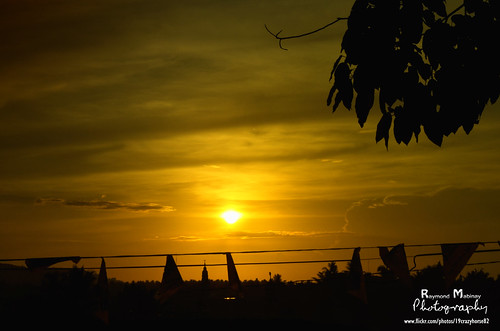 city flowers summer sun tree green beautiful up sunrise canon island pc nice nikon glare shine close view shot bright blossom top philippines hill sunflower raymond rise dslr acacia humidity mindanao maguindanao cotabato mabinay d5100 19crazyhorse82