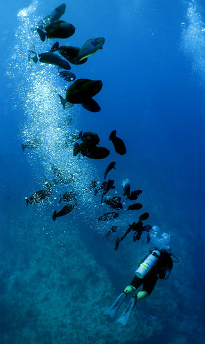 underwater diving maldives photoshop7 mdv ariatoll brokenrock angaga canonixus980is diverswet inonufl165adfisheye divemasterjochengommers