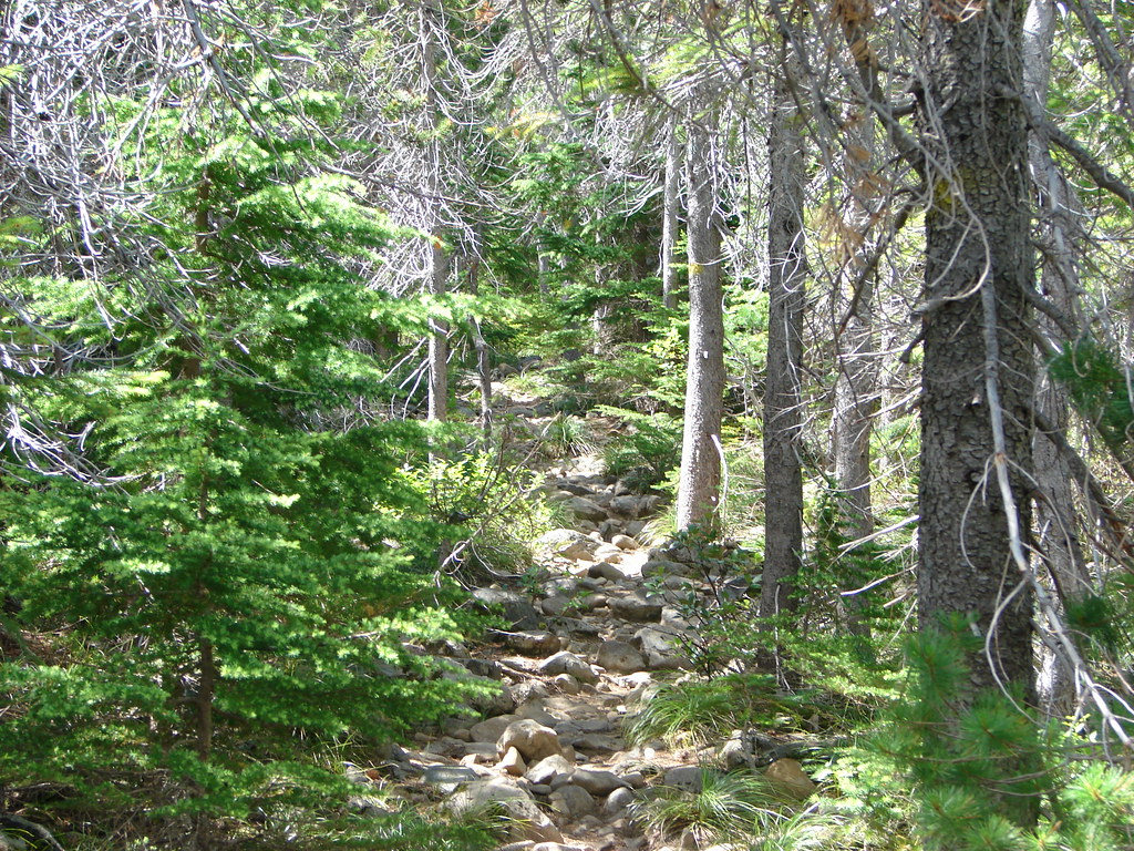 Mt. Defiance Trail