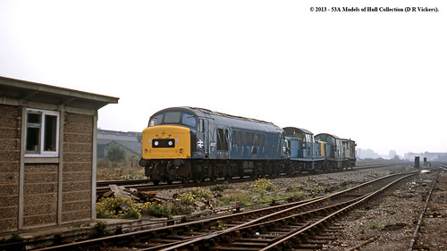 train diesel clayton derbyshire peak railway britishrail chesterfield freighttrain 46027 class46 class17 d8598 s18521 d8521