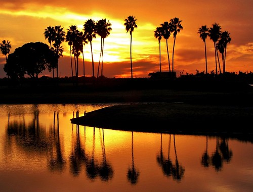 sandiego sunset california palms trees photography mission bay reflections gününeniyisi