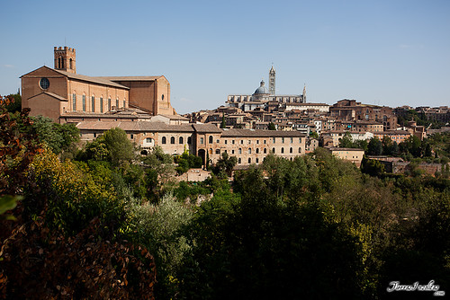 Siena (Italia)