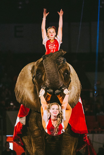 girls red elephant sisters trunk tusks bendy 70200mm contort shrinecircus frontonview