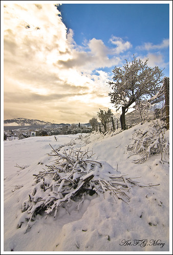 trees españa naturaleza white snow blanco nature canon landscape andalucía spain árboles nieve paisaje sierra arbres granada neige sierranevada paysage espagne blanc ogíjares