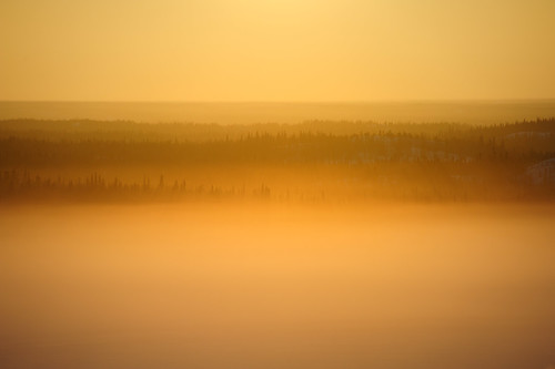 trees mist fog sunrise dawn nikon nwt explore yellowknife 24120vr explored d700