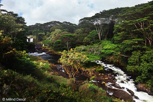 river hawaii rainforest stream waterfalls bigisland hilo wailuku peepee wailukuriver peepeefalls