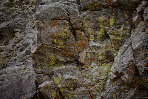 rocks idaho lichens bannockcounty gardengreekgap
