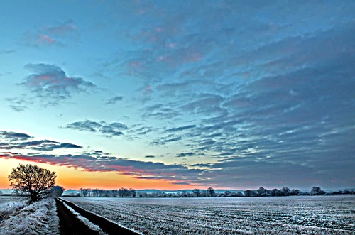 light sky cloud sun tree silhouette sunrise skyscape bedford frost track bedfordshire teasel felton lumen cardington robertfelton
