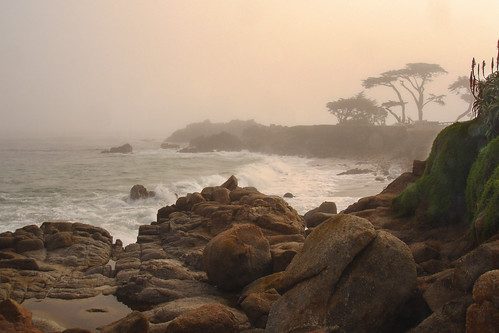 fog sunrise foggy rocky montereybay pacificgrove centralcoast loverspoint