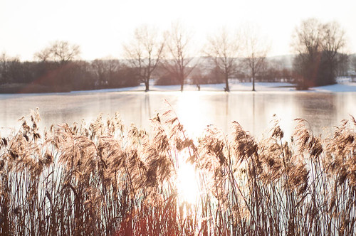 winter sunset lake ice see frozen sonnenuntergang eis gegenlicht gefroren zugefroren