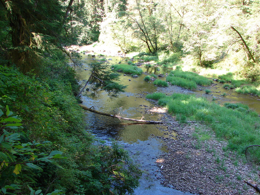 Drift Creek